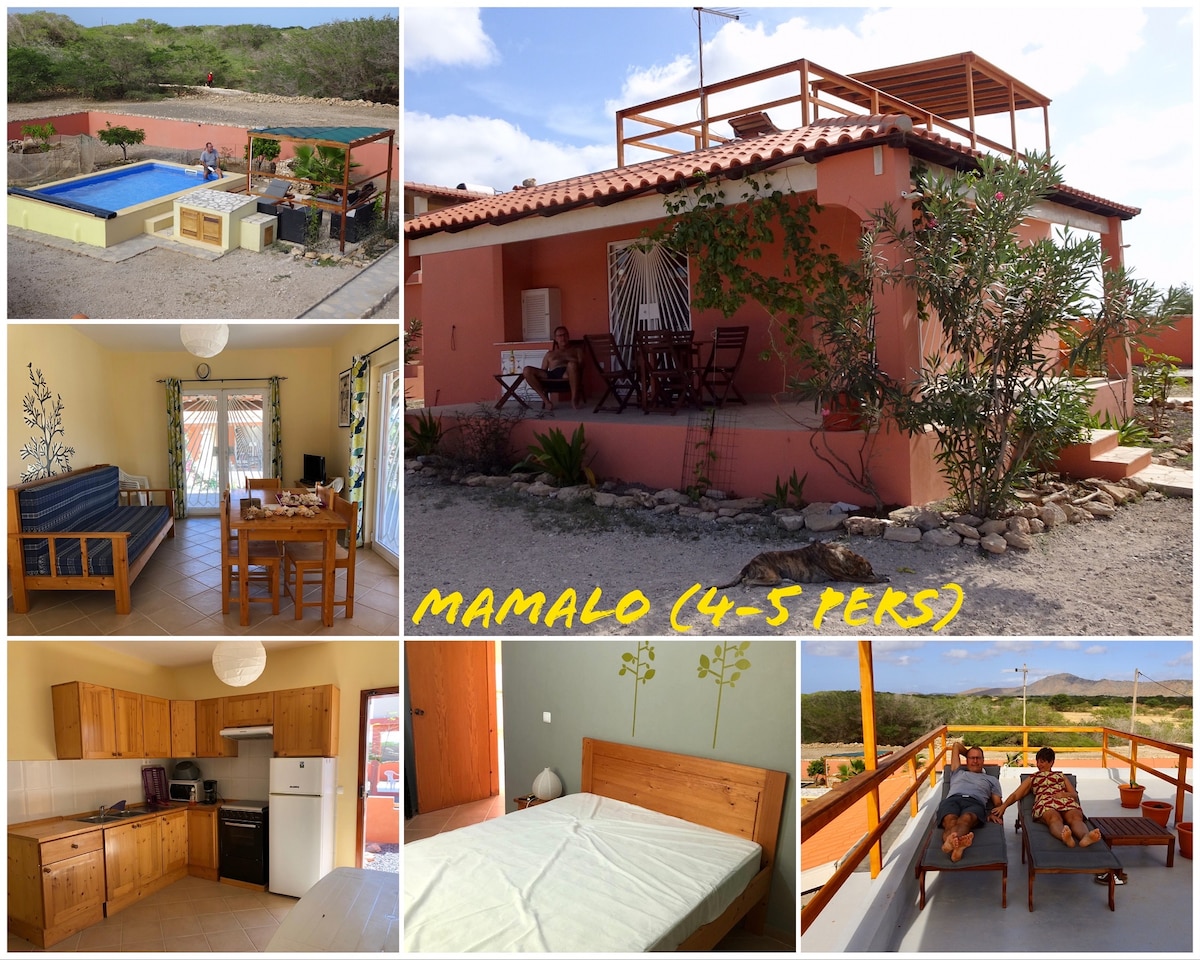 The image displays a modern, fully equipped house surrounded by landscaped gardens. A small pool is visible in the outdoor area, complemented by a terrace featuring loungers. The interior includes a dining space with wooden furniture, a compact kitchen, and a cozy sleeping area, designed for comfort.