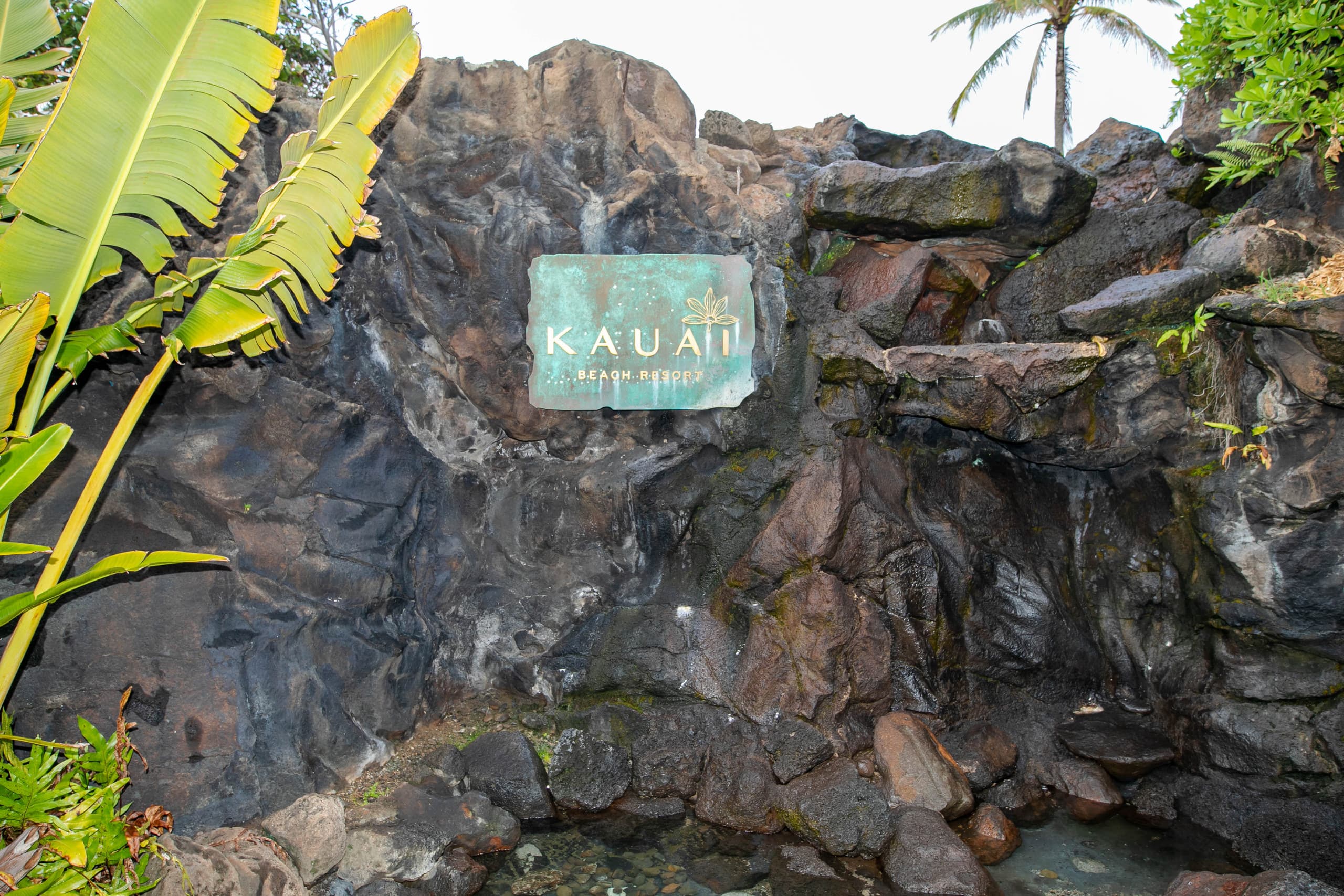 Last minute special free wifi, best deal in town - Image 50