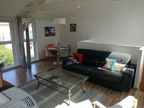 Airbnb performant: Gite with garage and garden 4 pers. in Colmar à Haut Rhin
