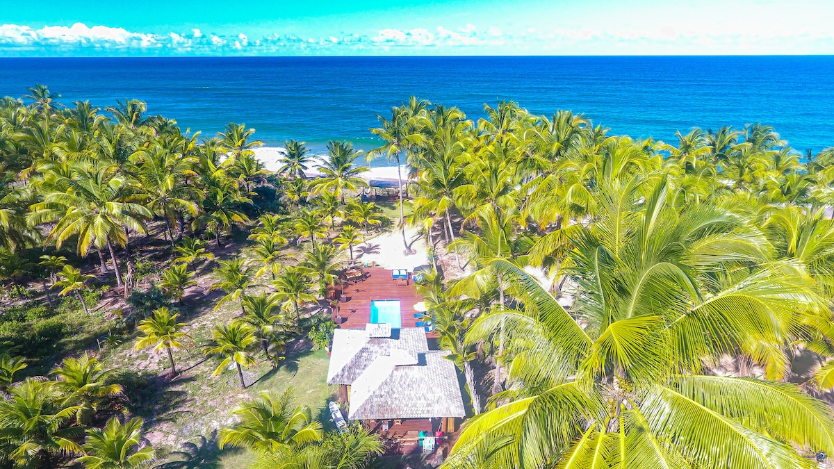 An aerial view showcases a lush landscape of palm trees surrounding a pool area. The property features a thatched-roof structure nestled among vibrant greenery, with the blue ocean visible in the background and a clear sky above, enhancing the serene coastal setting.