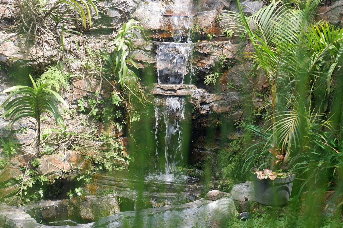 A serene waterfall cascades down a rocky surface, surrounded by lush greenery. Various plants thrive around the water feature, creating a tranquil atmosphere. The gentle sound of running water enhances the peaceful environment, inviting relaxation and contemplation.