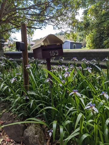 Emigrant Creek House gallery image 4