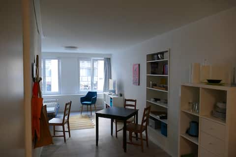 Charming Studio in Central Neuchâtel - 1B