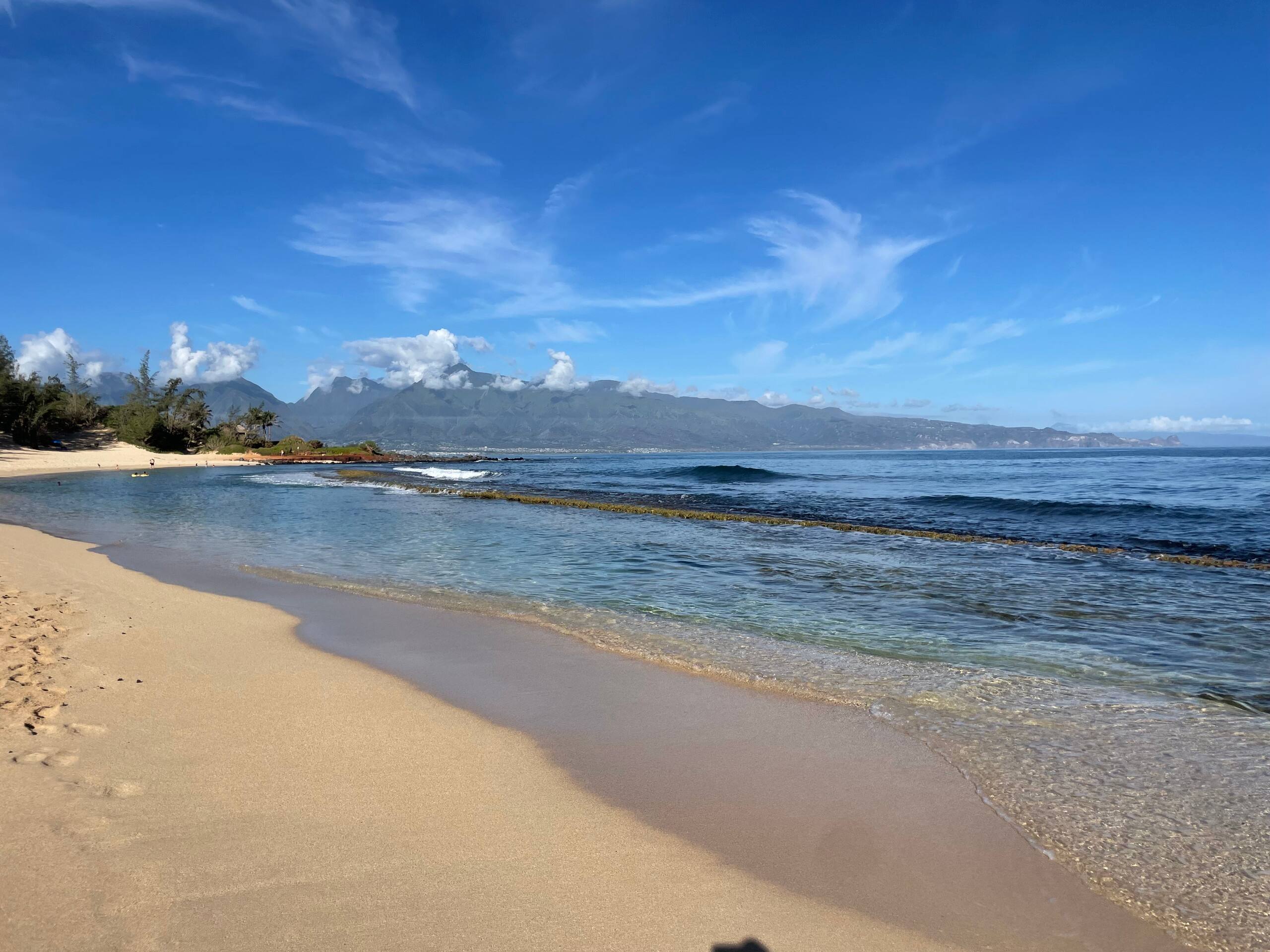 Medium studio @ Mangolani Inn – Paia - Photo 36