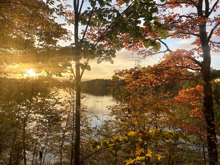 Elbow View Cabins for Rent in Seeleys Bay, Ontario, Canada Airbnb