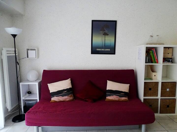 Cómoda sala de estar. El banco se convierte en una cama para 2 personas.