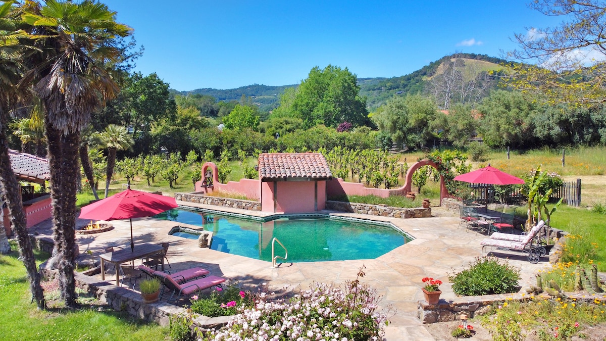 A spacious pool area is surrounded by lush greenery and palm trees, featuring a patio with styled lounge chairs and umbrellas. A vineyard is visible in the background, with rolling hills adding to the serene landscape. The space invites relaxation and tranquility.