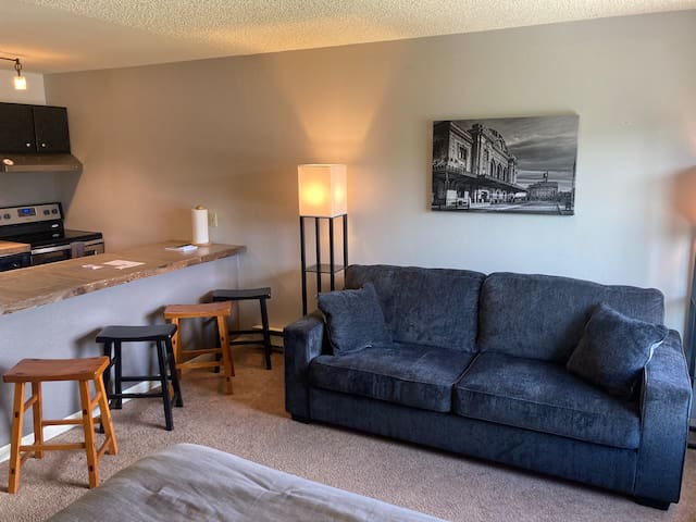 Downtown Breck Condo! Ski In/Shuttle Out Park Free