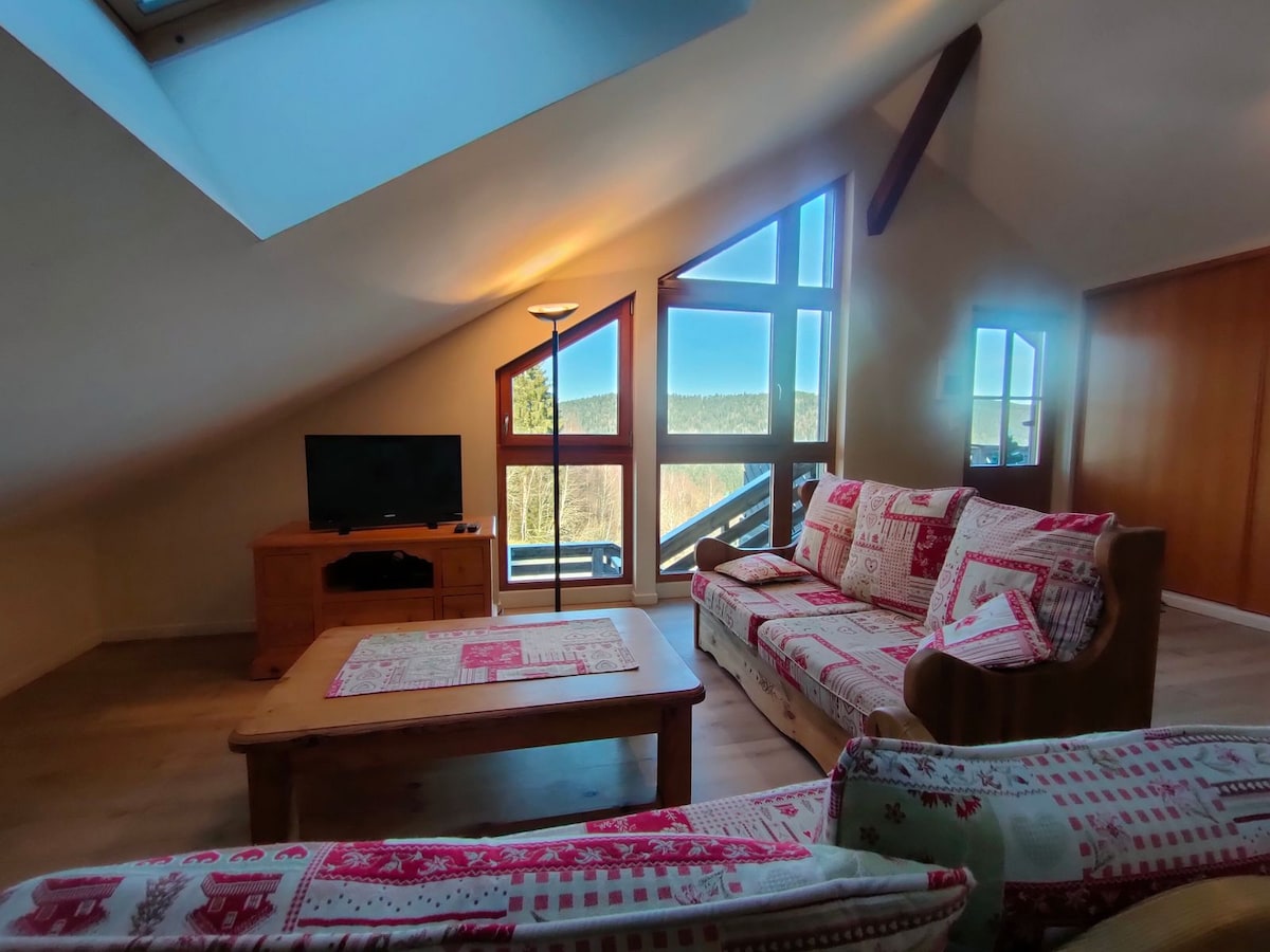 Top Airbnb: Loft-style *** cottage, great view à Xonrupt Longemer