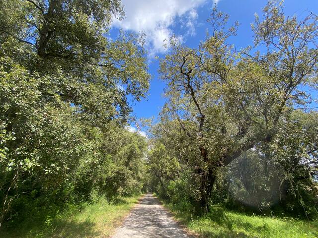 Unique luxury Villa ,100m2 pool close to the sea gallery image 2