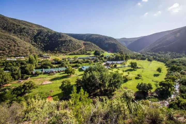 Oudtshoorn Vacation Rentals & Homes - Western Cape, South Africa | Airbnb