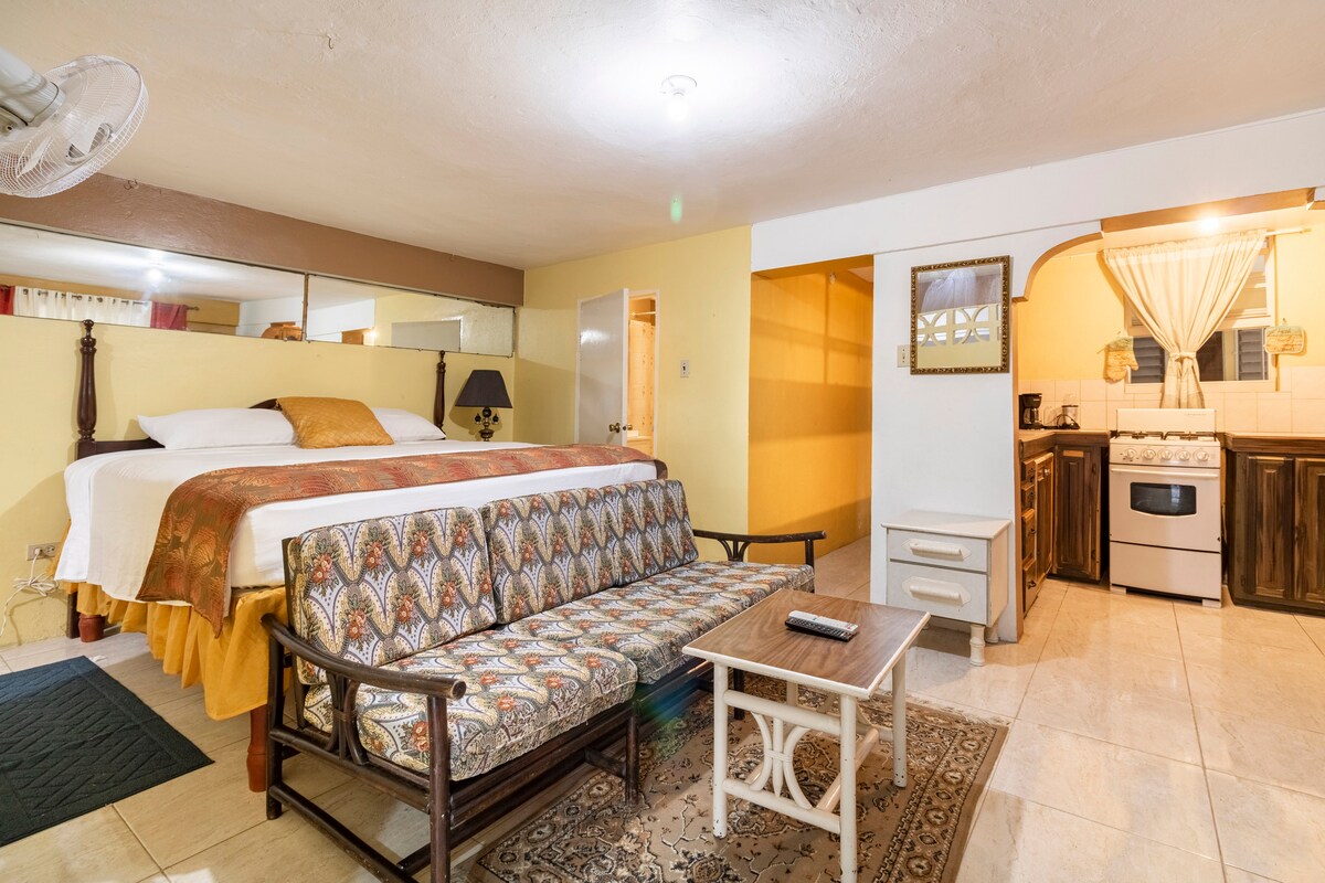 Საძინებელი, სააბაზანო, მინი-სამზარეულო და ცალკე პატიო. თქვენ გარშემო ყველა სასიამოვნო ადამიანია ბონუსის მისაღებად.

შეცვალეთ ზეწრები და პირსახოცები მოთხოვნისამებრ.