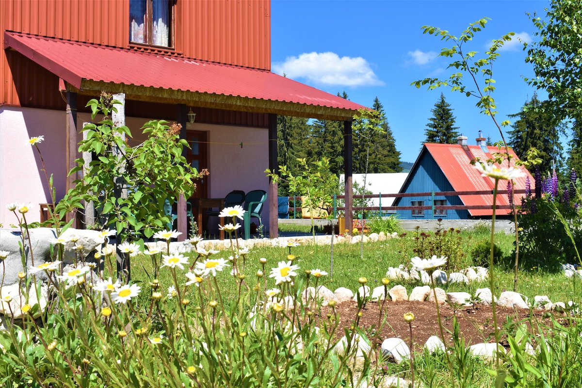 A charming exterior view of a mountain-style home, featuring a vibrant red roof and porch. Lush greenery surrounds the structure, with a flowerbed filled with blooming daisies and rocks creating a natural border. The serene landscape is complemented by distant structures under a clear blue sky.
