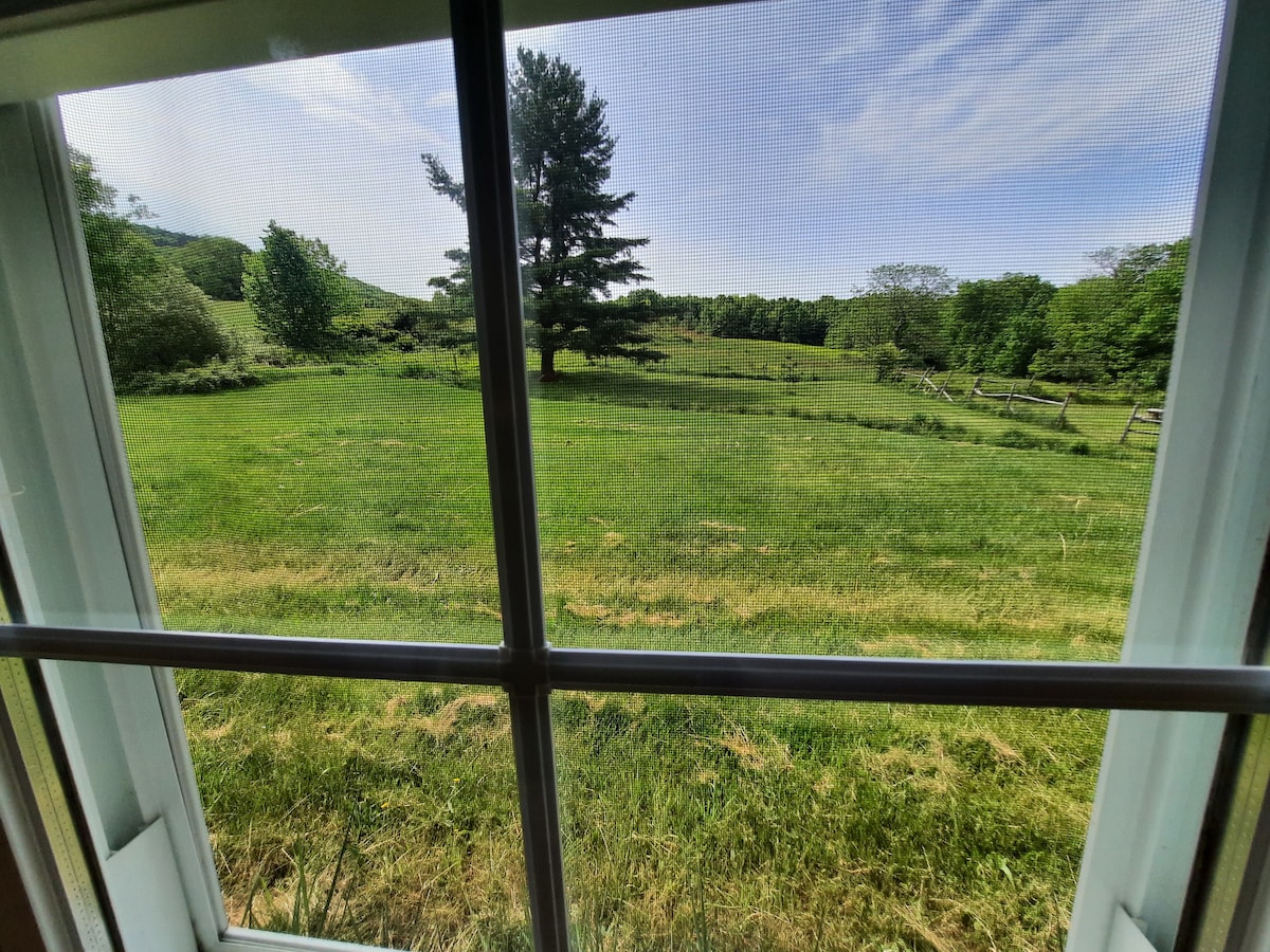 A view from a window reveals a lush green landscape, featuring a tall tree and gentle hills in the distance. The natural scenery showcases an expansive field bordered by a rustic wooden fence under a clear blue sky with a few clouds.