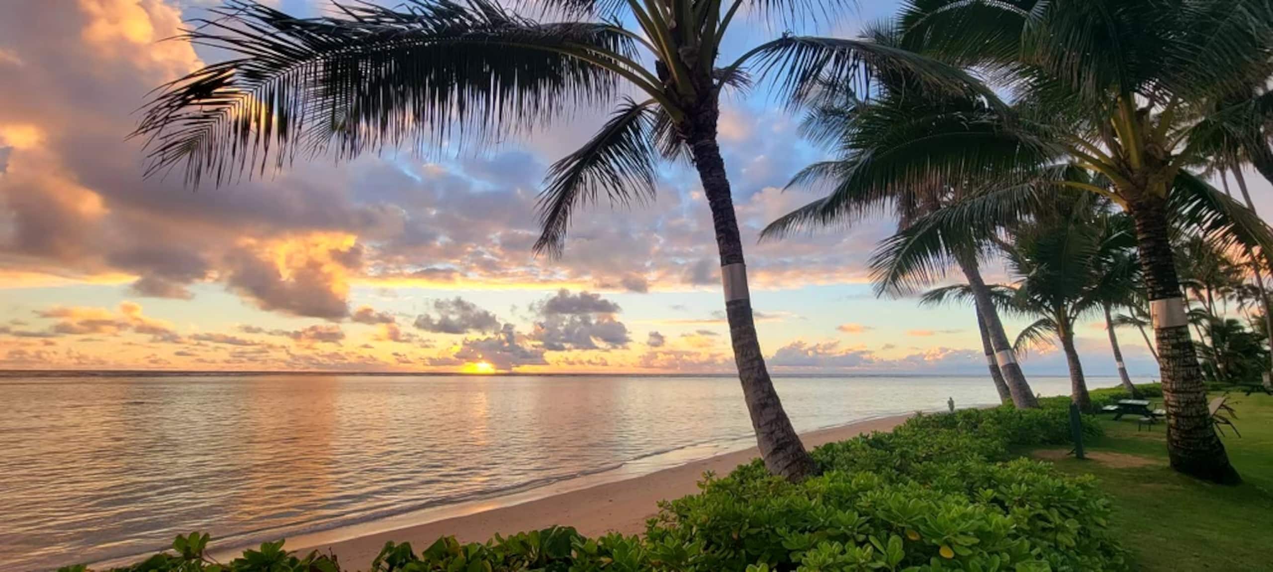 Condo in Hauula · ★4.77 · 1 bedroom · 3 beds · 1 private bath - Image 22