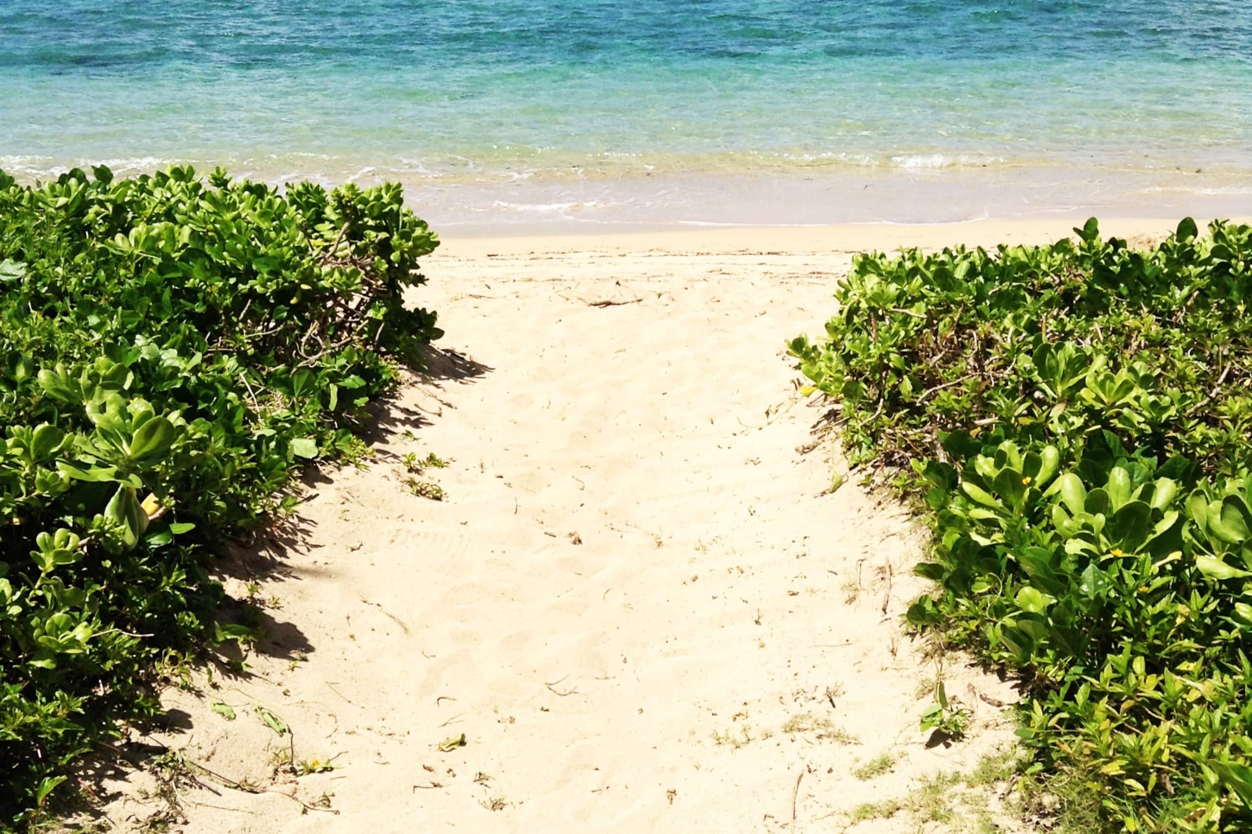 Condo in Hauula · ★4.77 · 1 bedroom · 3 beds · 1 private bath - Image 23