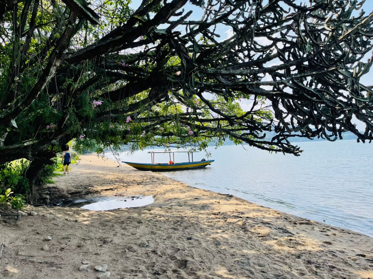 A sandy beach scene is framed by the outstretched branches of a tree, casting dappled shadows on the shore. A small wooden boat is anchored near the water's edge, with a calm lake reflecting the sky. Nearby, a person strolls along the sand.