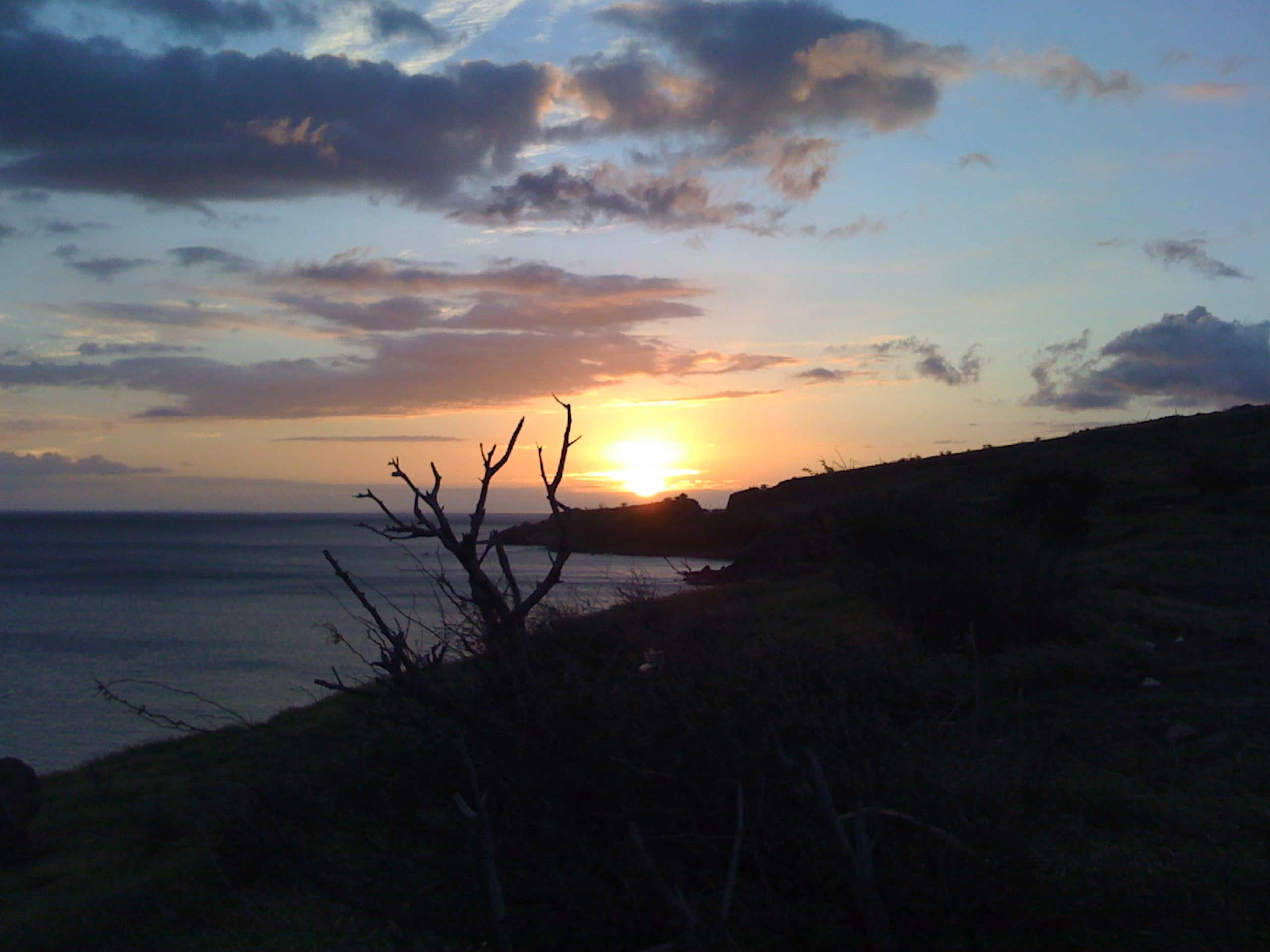 Condo in Kihei · ★4.94 · 2 bedrooms · 4 beds · 1 private bath - Image 33