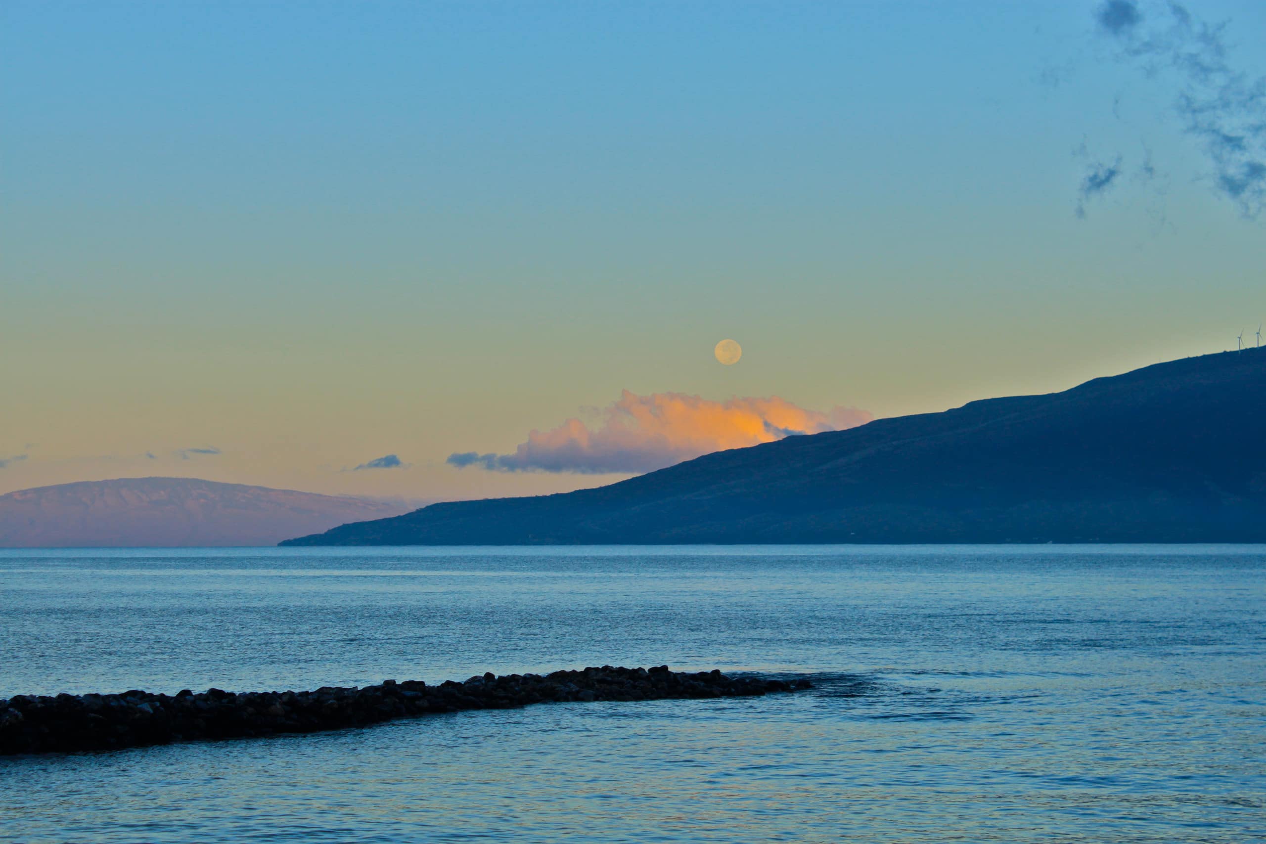Condo in Kihei · ★4.94 · 2 bedrooms · 4 beds · 1 private bath - Image 32