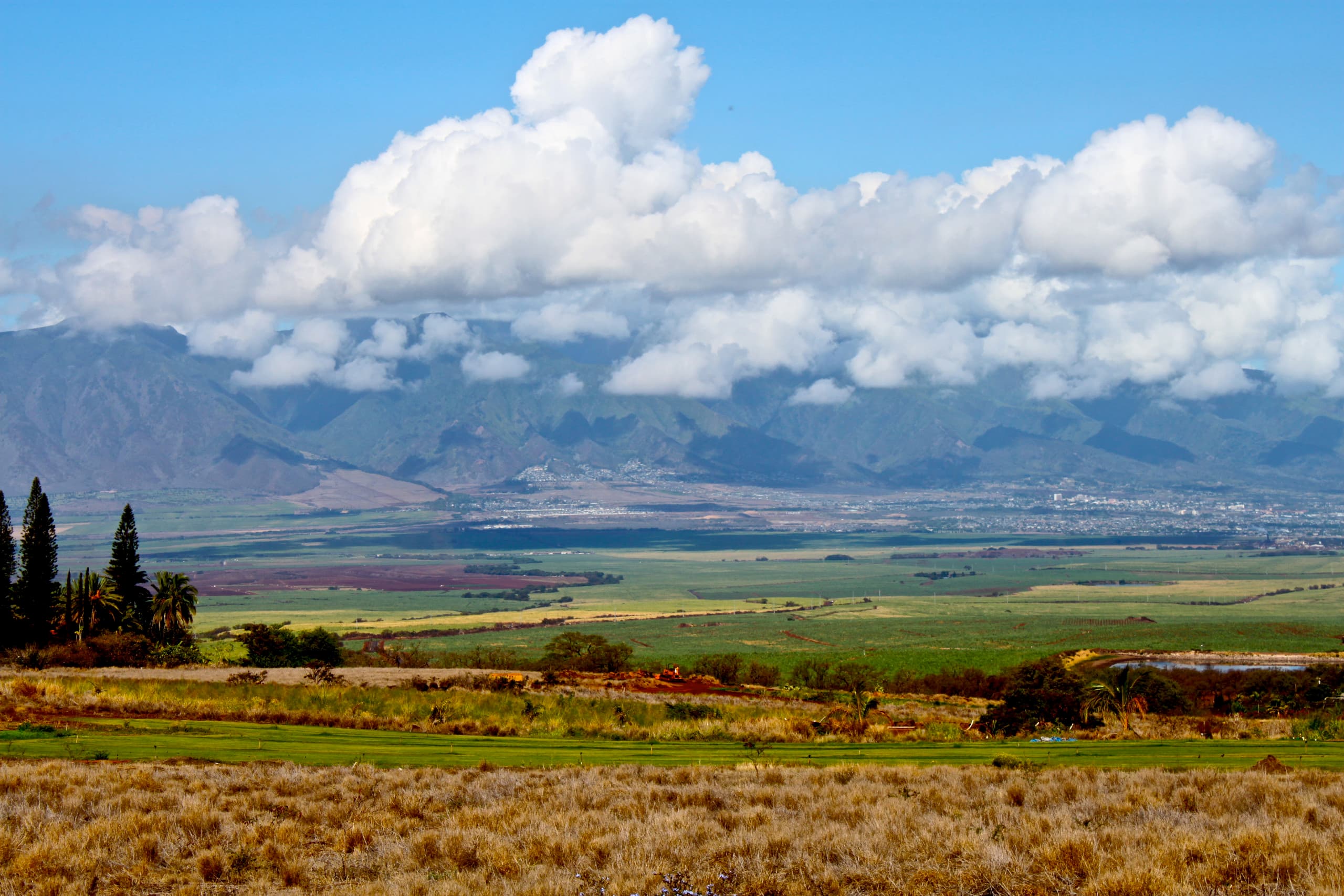 Condo in Kihei · ★4.94 · 2 bedrooms · 4 beds · 1 private bath - Image 35