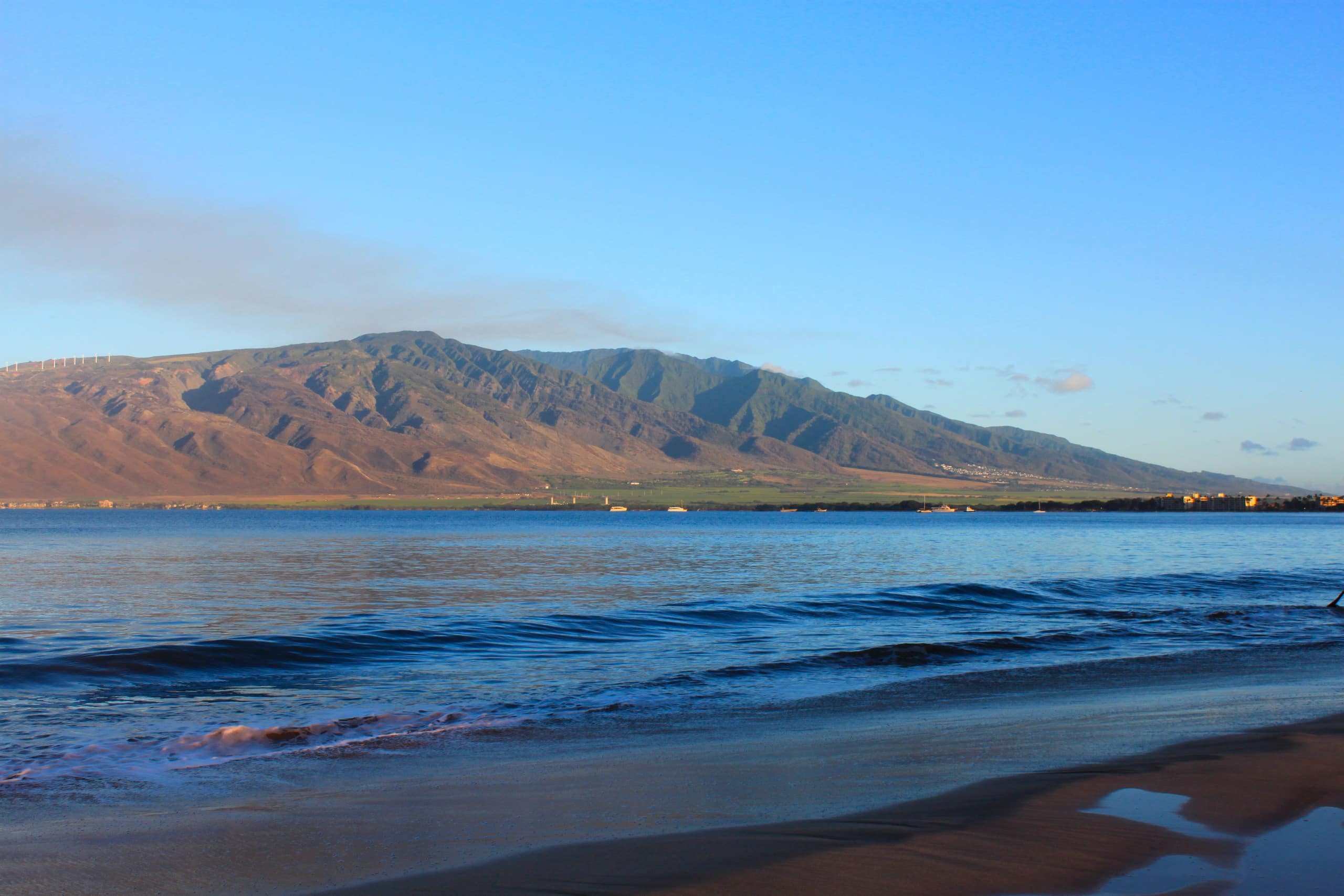 Condo in Kihei · ★4.94 · 2 bedrooms · 4 beds · 1 private bath - Image 31