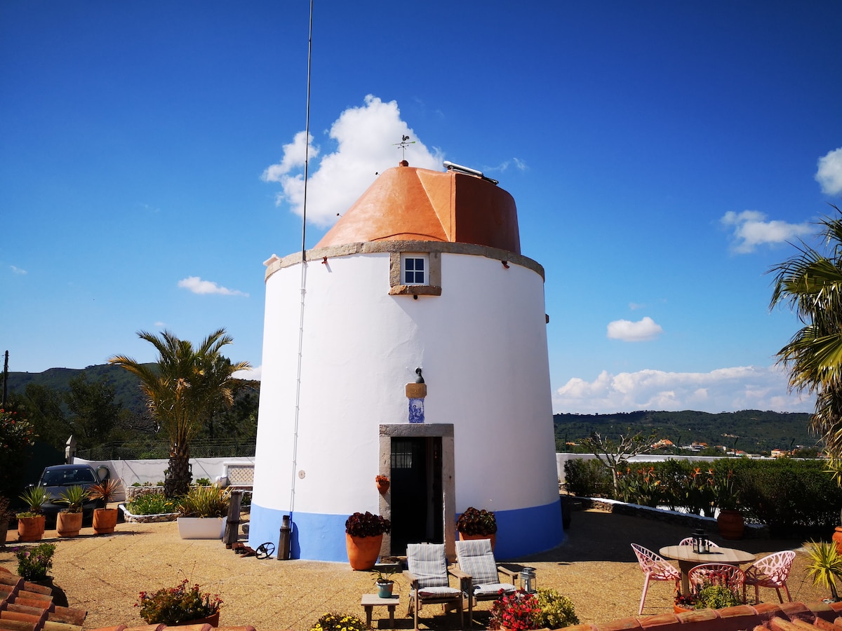 A traditional windmill is featured with a rounded structure and a conical orange roof. Surrounding the entrance, potted plants create a welcoming environment. Outdoor seating is arranged in front, offering a scenic view of the landscape beyond.