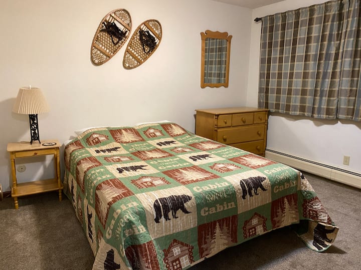 Downstairs bedroom with queen bed and large closet. 