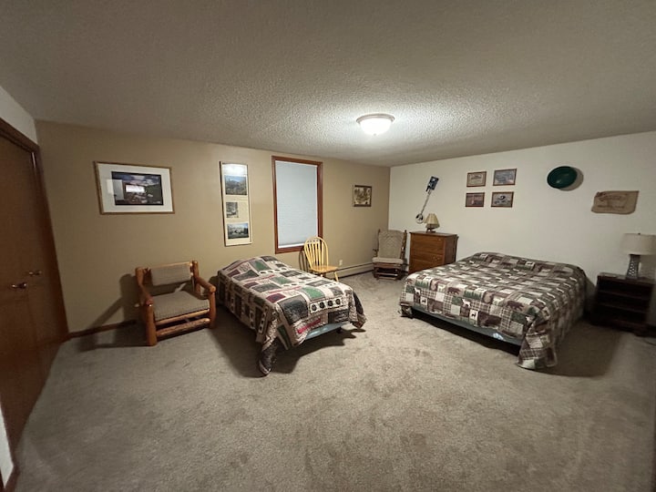 Downstairs bedroom with queen and a twin bed. This large bedroom also has two large closets.