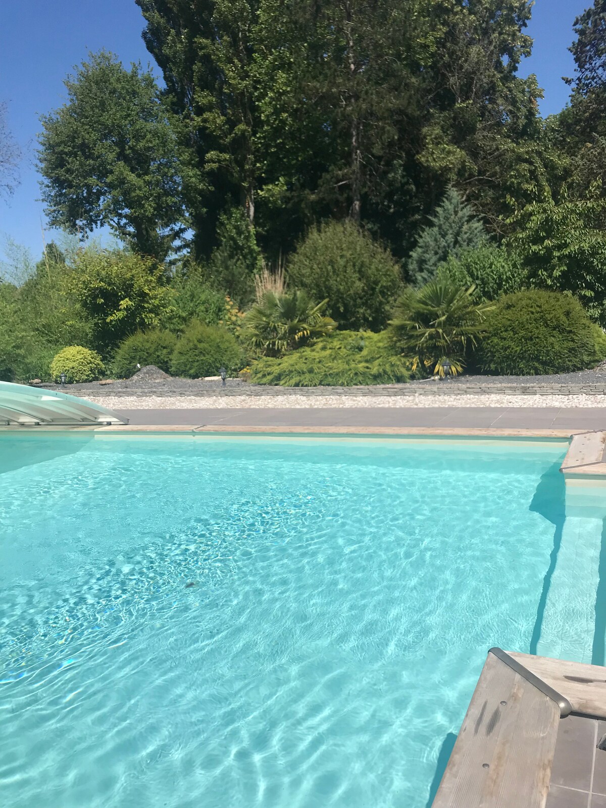 A clear blue swimming pool is visible, surrounded by lush greenery and meticulously arranged shrubs. The reflection of sunlight ripples across the water's surface, creating a calming atmosphere. The pool area is bordered by a smooth pathway lined with decorative stones.