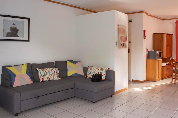 המטבח והסלון נמצאים באותו אזור, בחדר פתוח