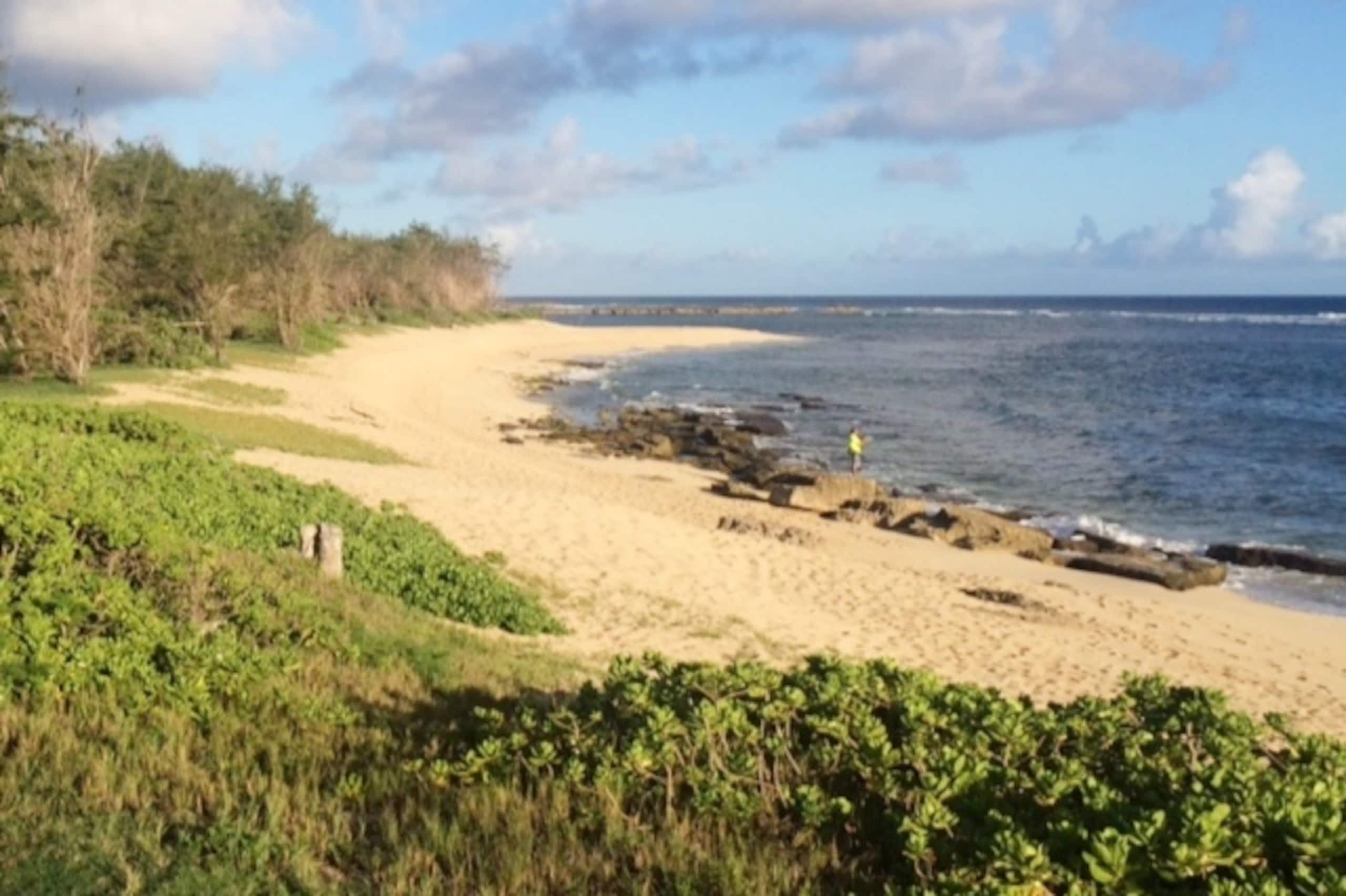 Condo in Hauula · ★4.76 · Studio · 4 beds · 1 private bath - Image 28