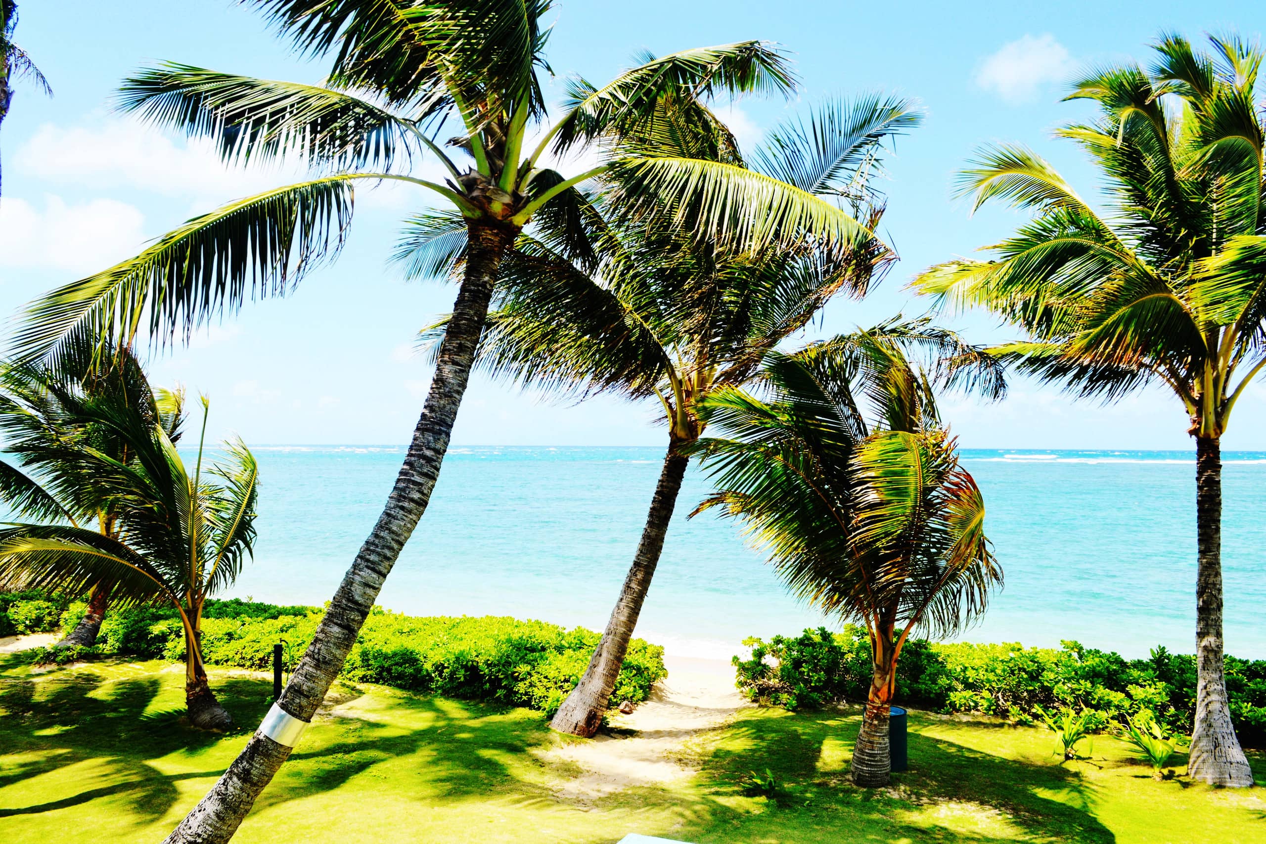 Condo in Hauula · ★4.76 · Studio · 4 beds · 1 private bath - Image 1