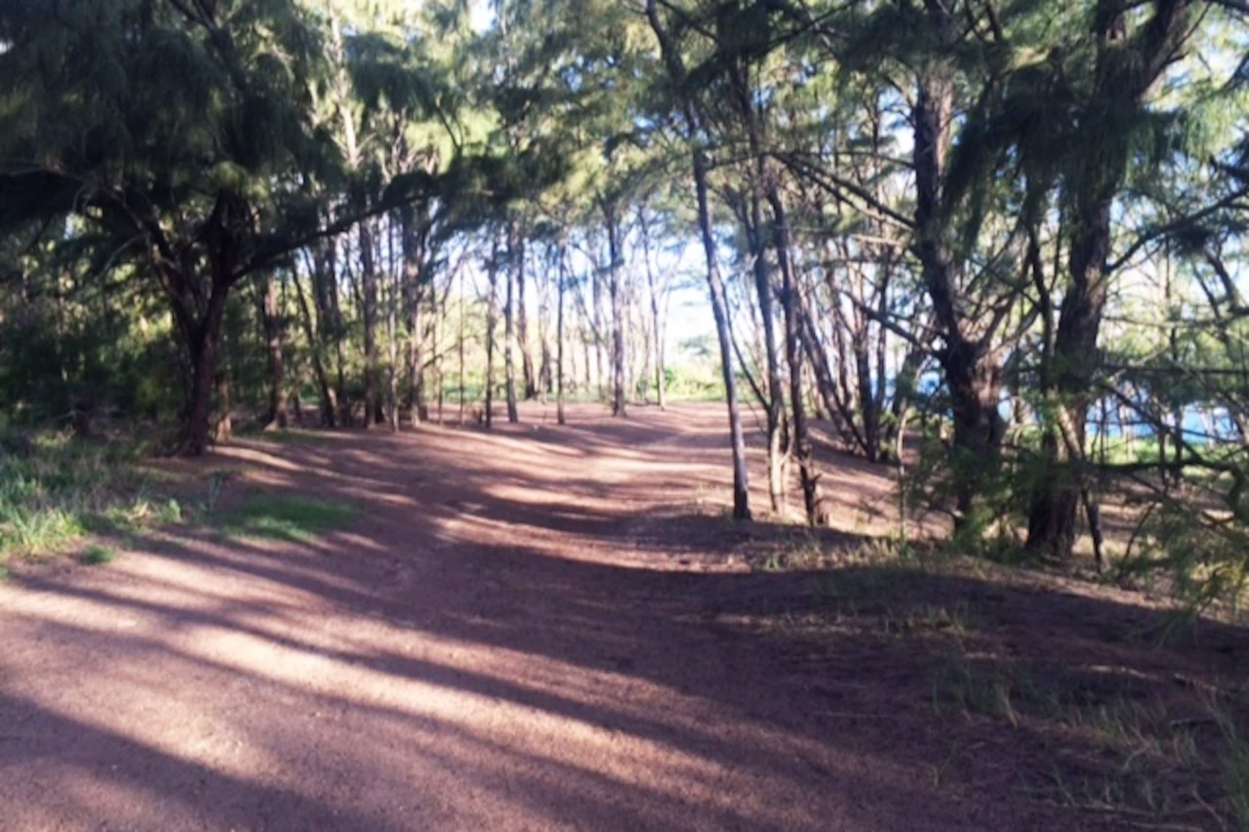 Condo in Hauula · ★4.76 · Studio · 4 beds · 1 private bath - Image 26