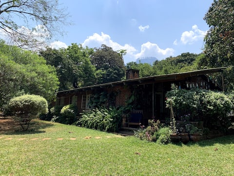 Full Bungalow in Beautiful Garden- Mulanguzi
