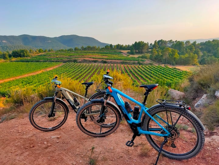 Hidden Gem: Wine Village Rooftop Retreat