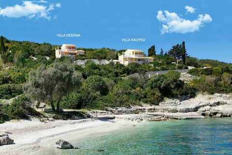 Villa Despina | Private pool, 2 min to the Beach