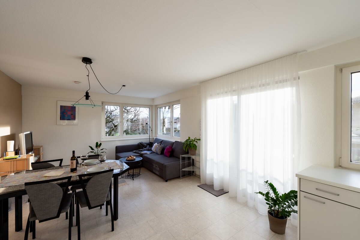 A bright living area features multiple windows, allowing natural light to fill the space. A spacious seating area is arranged against one wall, complemented by a dining table set for several. Decorative plants enhance the ambiance, while sheer curtains soften the light filtering in.