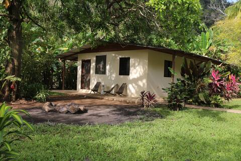 Toucan Villa - @ Mike’s Place