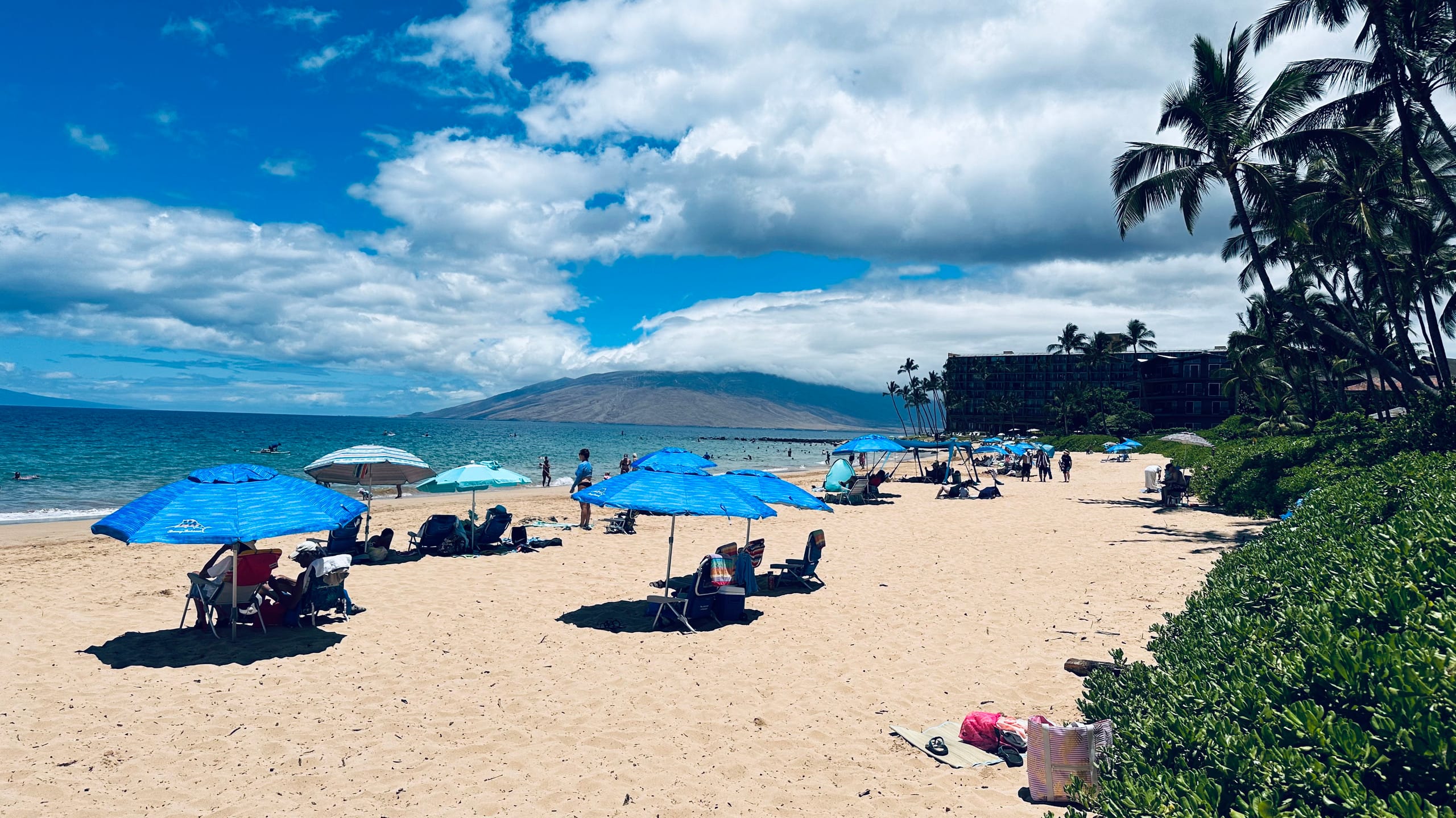 South Maui Oceanview Solo Cottage - Photo 119