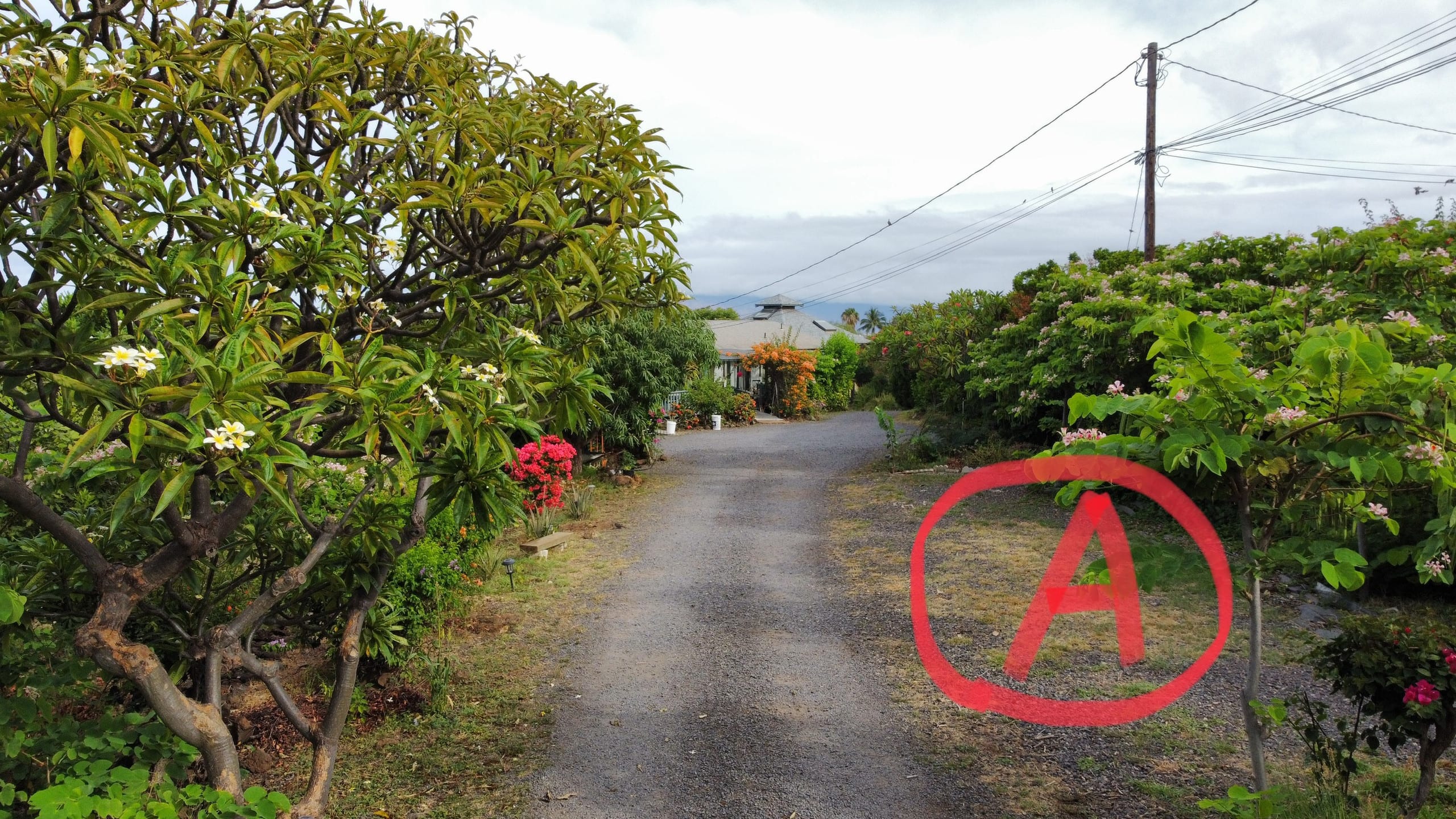 South Maui Oceanview Solo Cottage - Photo 112