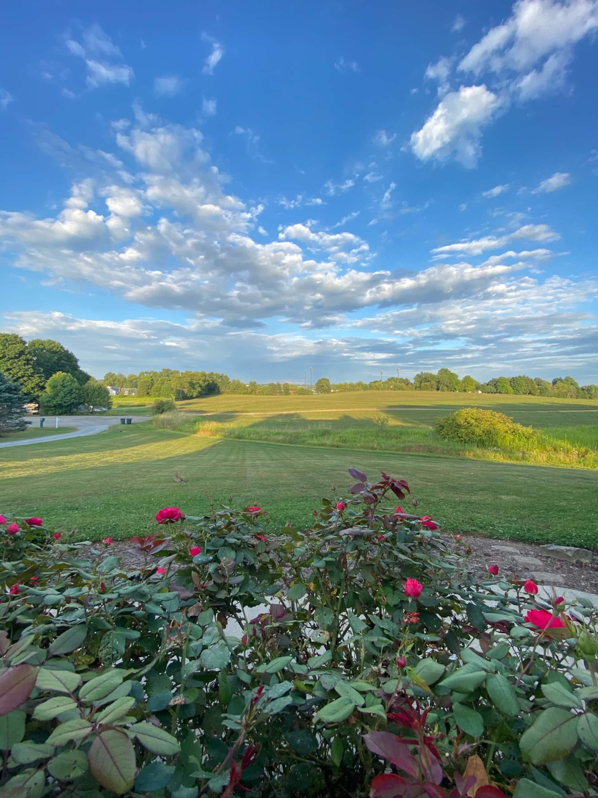 Safe Haven - Modern Getaway in Amish Country