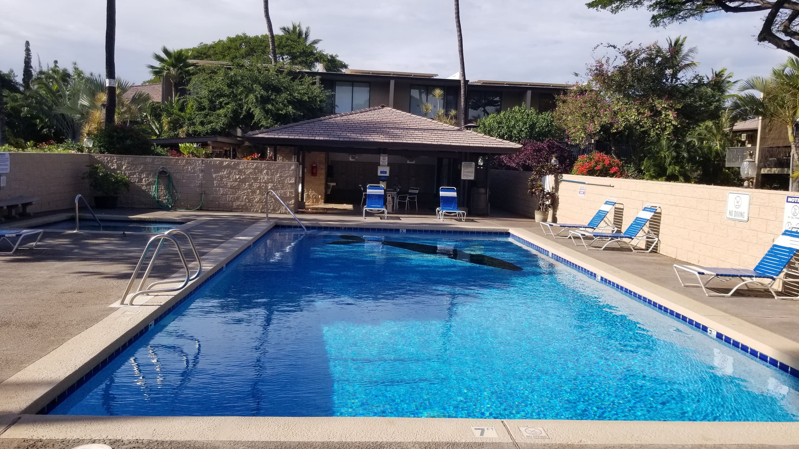 Condo in Kihei · ★4.61 · 2 bedrooms · 4 beds · 2 private baths - Image 8
