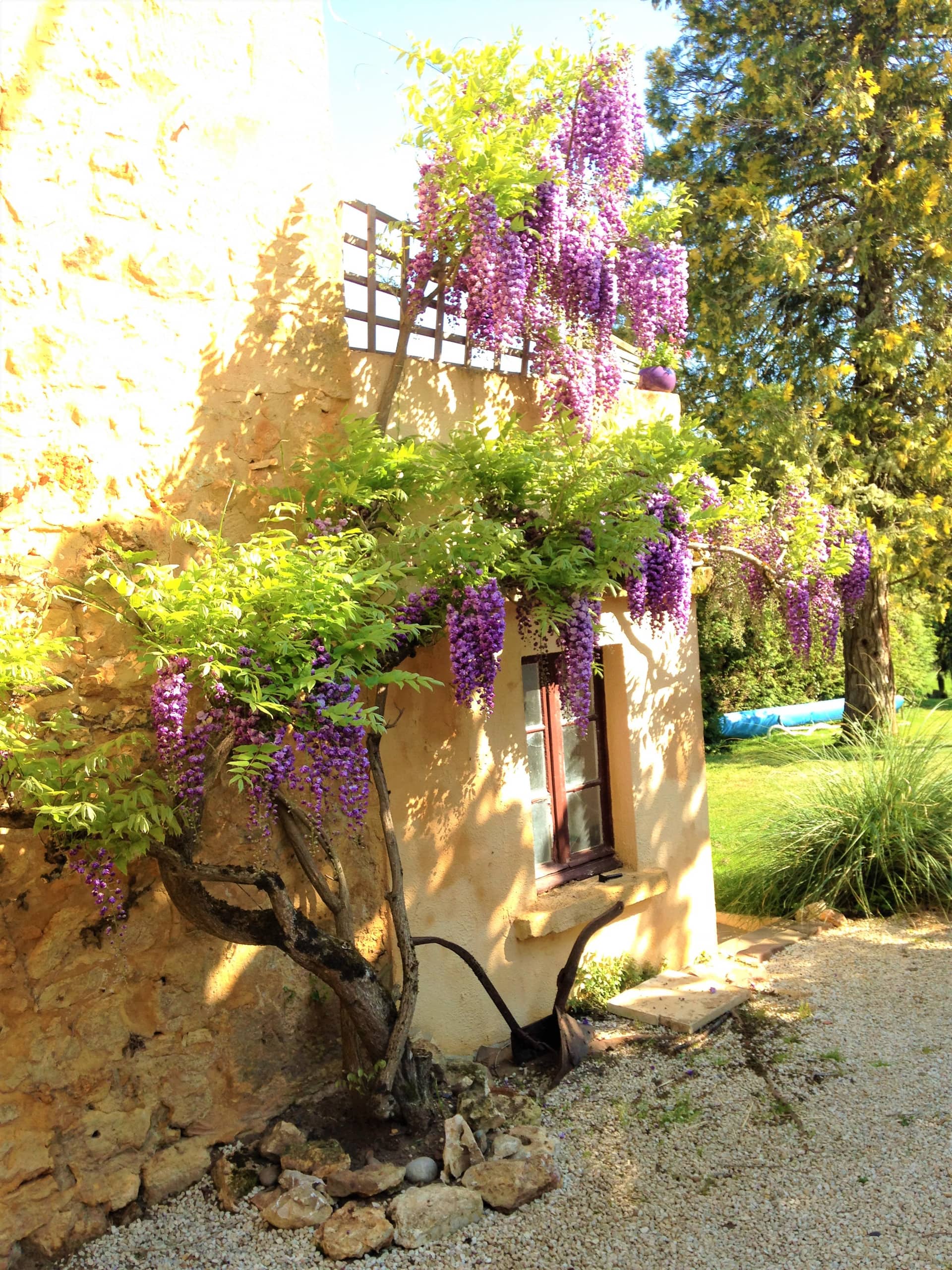 Les Papillons 4/6, Pool, Balcony, Garden & Courtyard, Top Location & Activities — photo 3