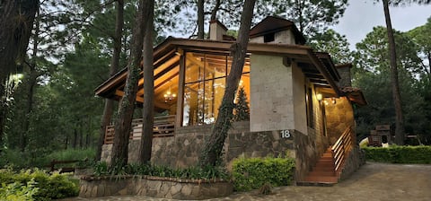 Beautiful luxury cabin in the middle of the forest!🏡🌲🍁