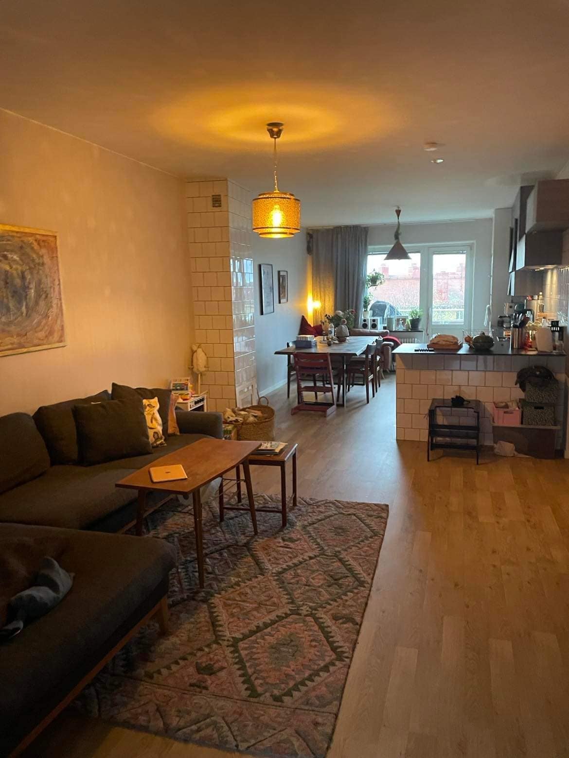 The living area displays a cozy seating arrangement with a dark sofa positioned next to a small coffee table. A warm light fixture hangs overhead, illuminating the wooden floor. A dining area with several chairs is visible in the background, along with a modern kitchen that offers a glimpse of the outdoor view.