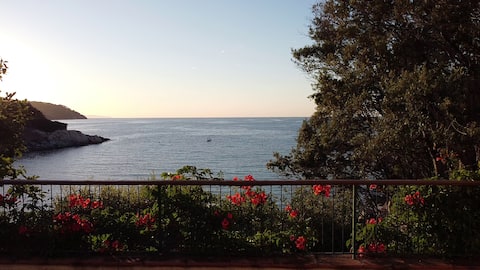 Villa sul mare, Isola d 'Elba