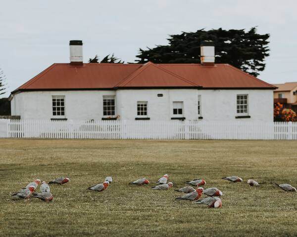 The Boatmans family house – Low Head Pilot Station gallery image 4