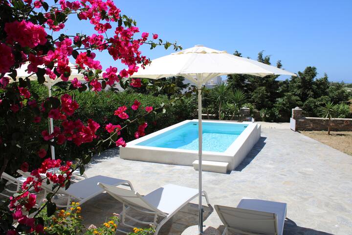 Blue Xenia – Villa 3 gallery image 4