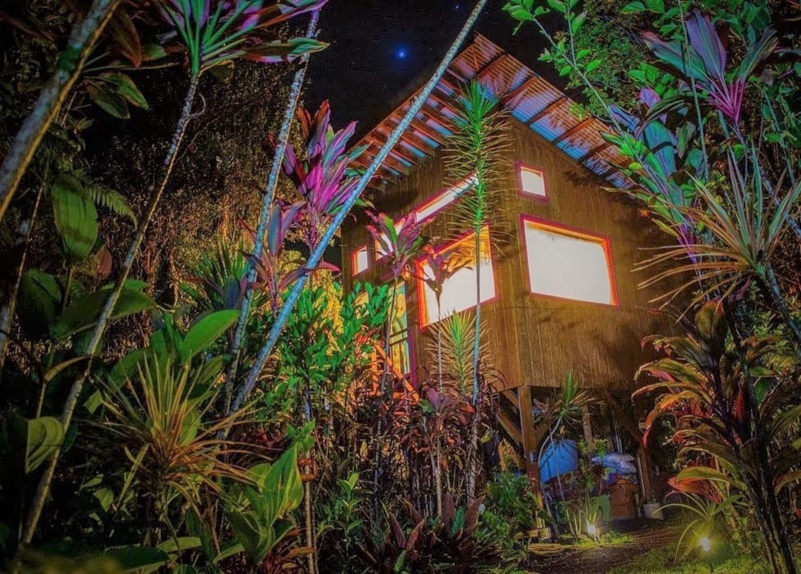 Adventure Treehouse - As featured on HGTV! - Image 7