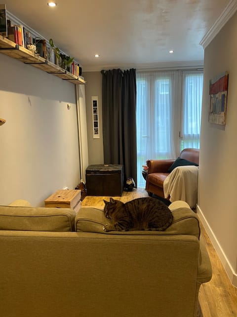 Popular Airbnb listing: 1-bed flat & a VERY friendly cat in Greater London